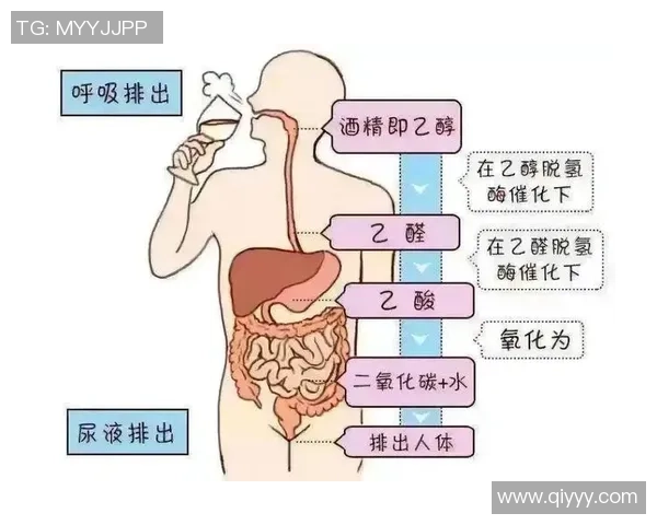 姚明身高与胸口高度的关系探讨及其对篮球运动的影响分析